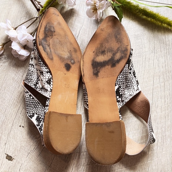 A Rider Girl slingback snake print pointed flats - Picture 8 of 11